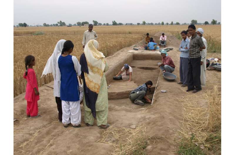 Rice farming in India much older than thought, used as 'summer crop' by Indus civilization