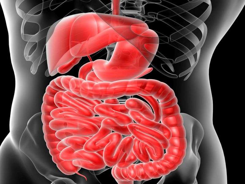 Rifaximin effective for repeat treatment of IBS with diarrhea