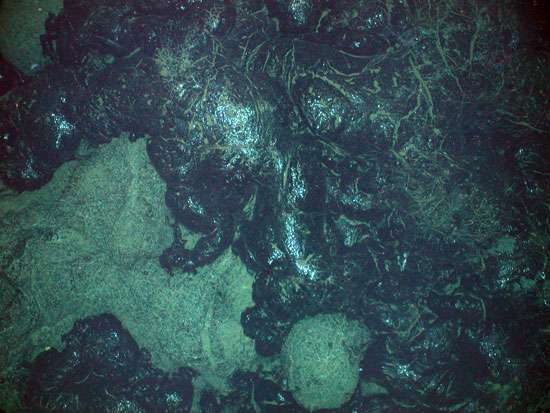 Rip in crust drives undersea volcanism, says study