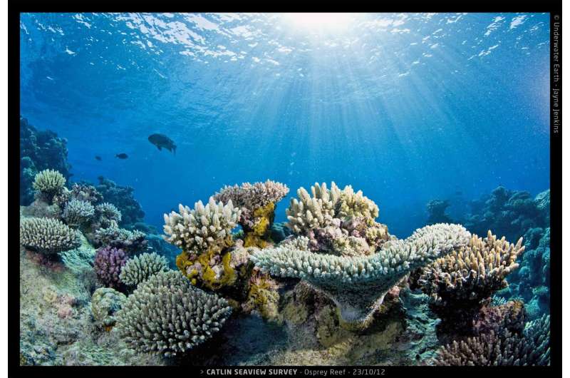 Rising CO2 threatens coral and people who use reefs