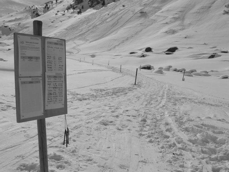 Risk of being involved in an avalanche less for smaller groups of recreationists