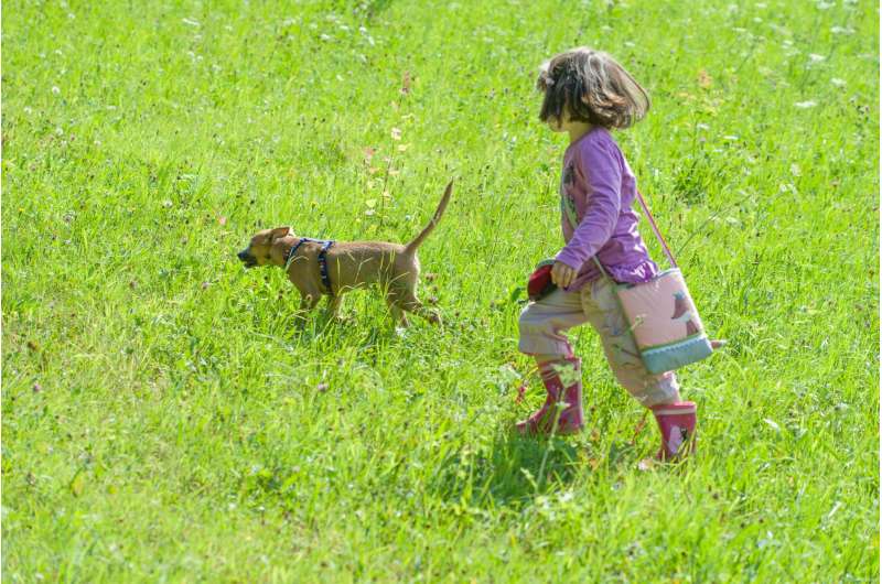 Risk to small children from family dog often underestimated