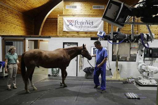 Robotic scan for horses could hold promise for human health