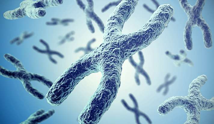 Roots of resistance to cancer drugs runs deeper than a single gene