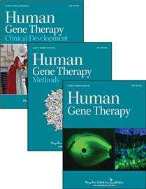 Safety data support human testing of hematopoietic stem cell gene therapy for mucopolysaccharid I