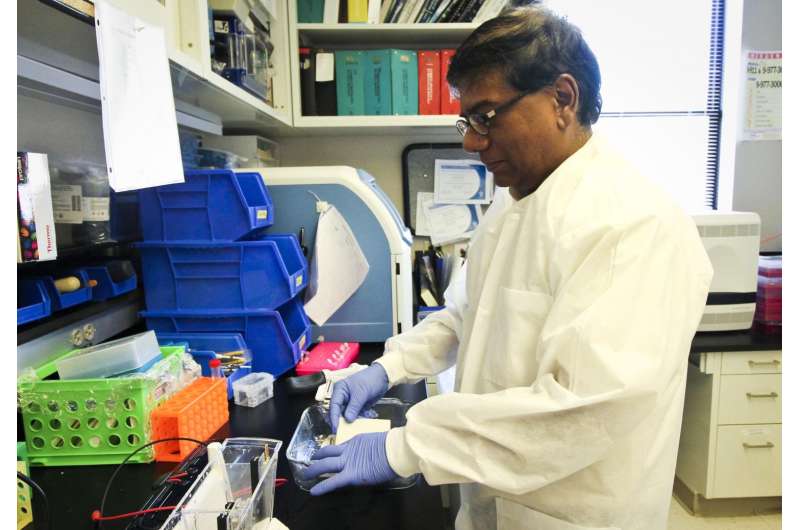 Saint Louis University research: Plant compounds give '1-2' punch to colon cancer