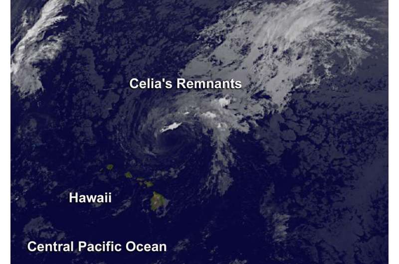 Satellite spots remnants of Ex-Tropical Cyclone Celia
