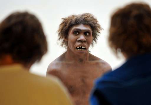 Scientists found that DNA from Neanderthals, depicted here in a model on display at the National Museum of Prehistory in Dordogn