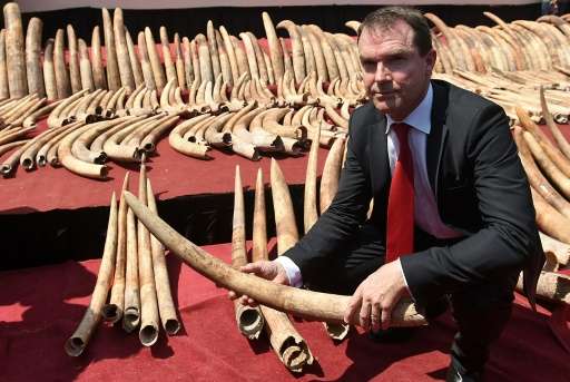 Secretary General of CITES (Convention on International Trade in Endangered Species) John E. Scanlon holds part of a cache of il