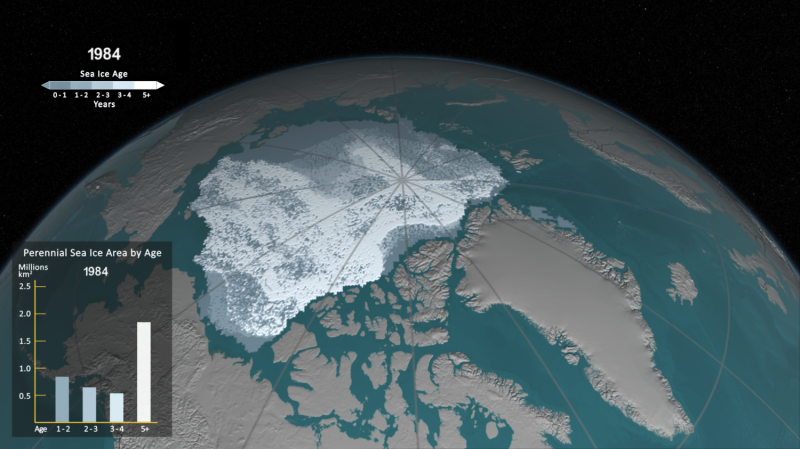 See how Arctic sea ice is losing its bulwark against warming summers
