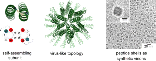 Smallest-reported artificial virus could help advance gene therapy