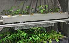 Smart cultivation platform facilitates indoor farming