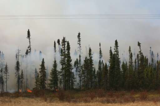 Smoke and flames are seen in the trees along the highway near Fort McMurray, Alberta on May 6, 2016
