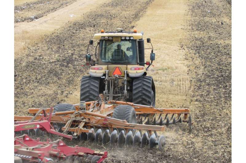 Soil microbes flourish with reduced tillage