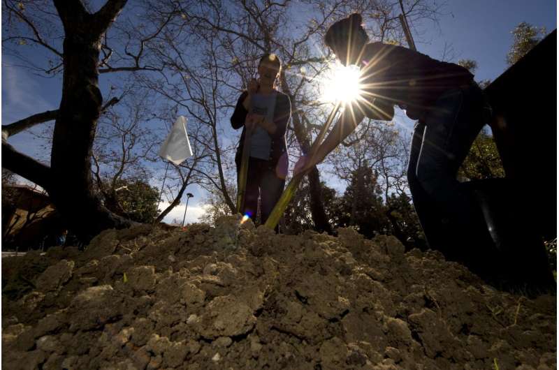 Soil will absorb less atmospheric carbon than expected this century