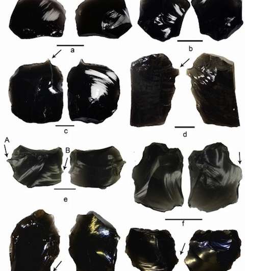South Pacific Islanders may have used obsidian 3,000 years ago to make tattoos