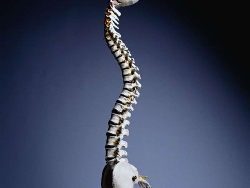 脊柱操作对腰痛和残疾的缓解作用不大
