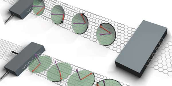 Spin lifetime anisotropy of graphene is much weaker than previously reported