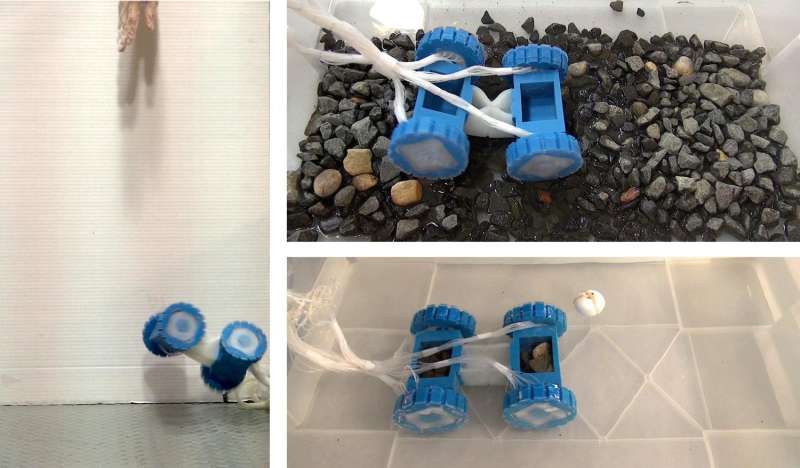 'Squishy' motors and wheels give soft robots a new ride