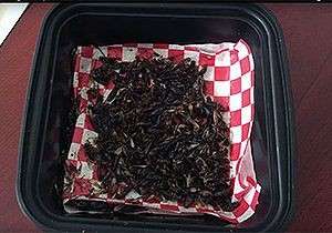 Students try to overcome the 'yuck' factor in bug eating