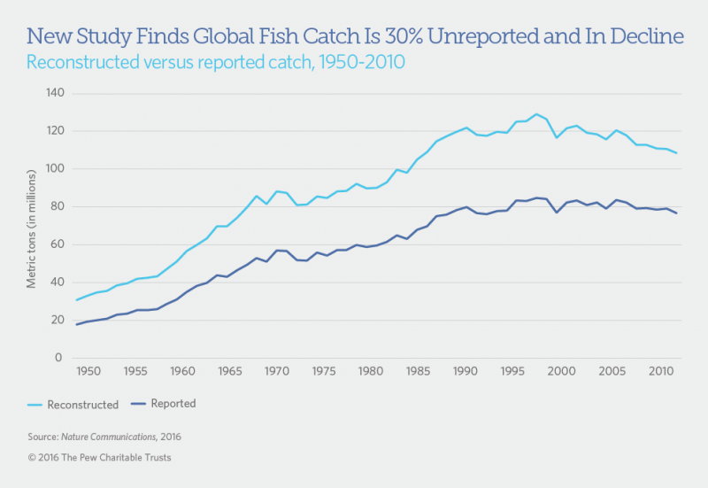 Study finds 30 percent of global fish catch is unreported