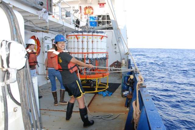 Study finds increased ocean acidification due to human activities