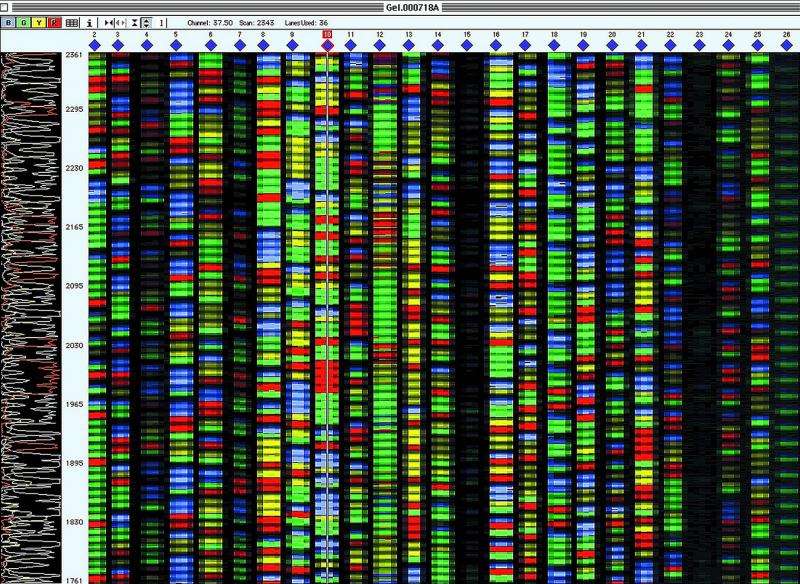 Study highlights need for better characterized genomes for clinical sequencing