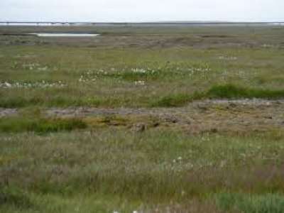 Study of tundra soil demonstrates vulnerability of ecosystem to climate warming