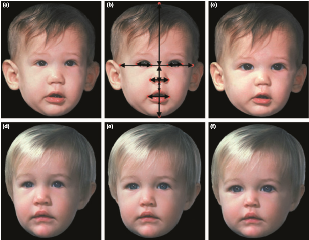 Study shows that opioids may affect how we perceive ‘cuteness’ of babies