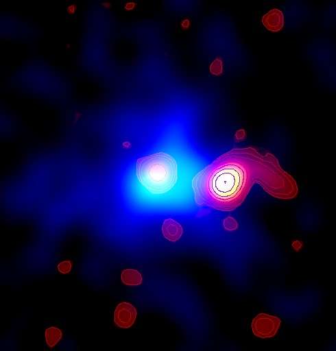 Super-massive and supersonic black hole studied with the Sardinia Radio Telescope