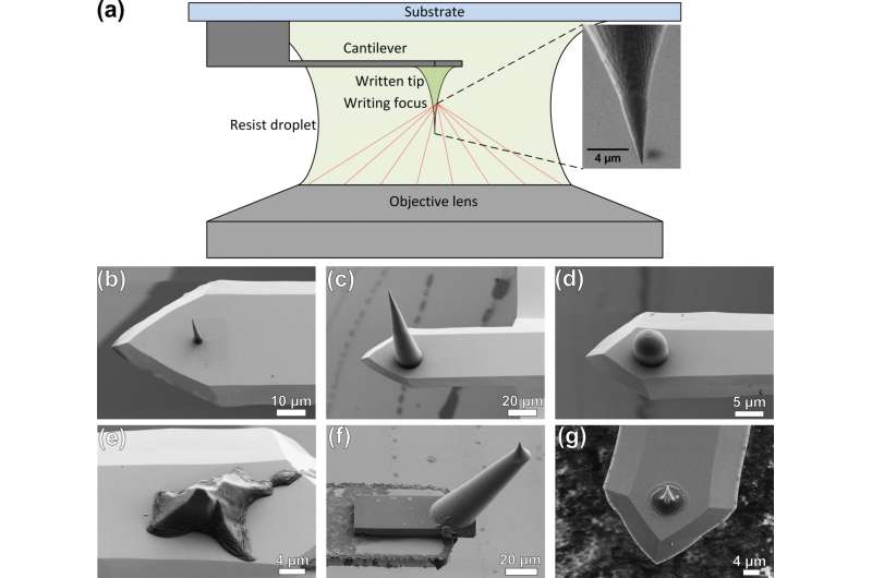 Tailored AFM probes created via 3-D direct laser writing