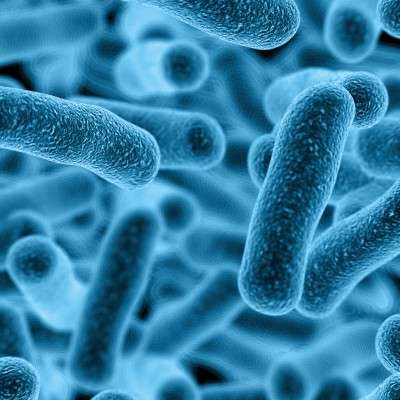 Tailored treatments to fight superbugs