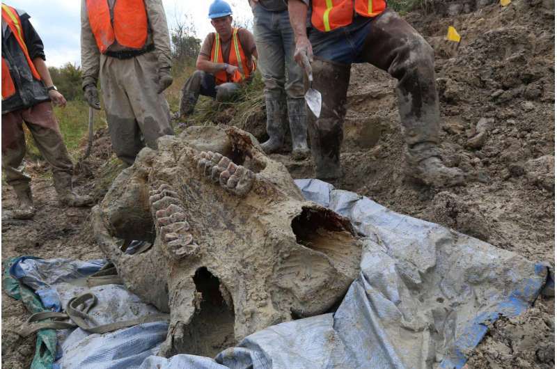 Team recovers 'most complete Michigan mastodon skeleton in many decades' from Thumb site