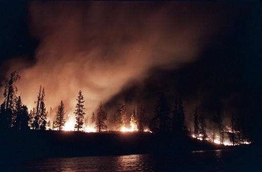 Team studies fires this year in '88 Yellowstone burn areas
