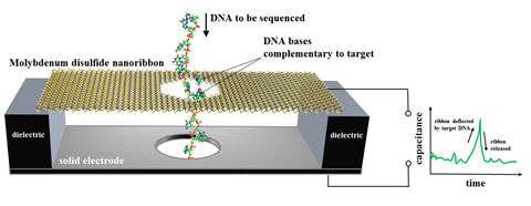 Team suggests nanoscale electronic motion sensor as DNA sequencer