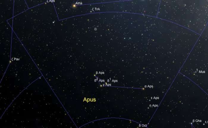 The Apus constellation