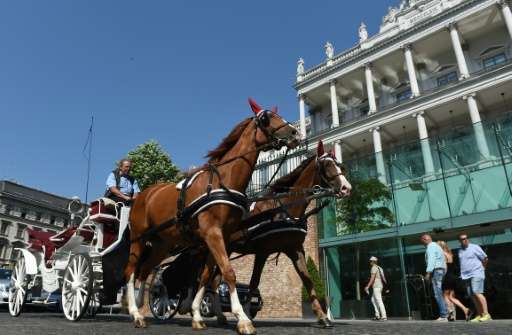The Austrian capital's carriages, known as &quot;fiakers&quot;, are a massive tourist magnet, taking people around the main sigh