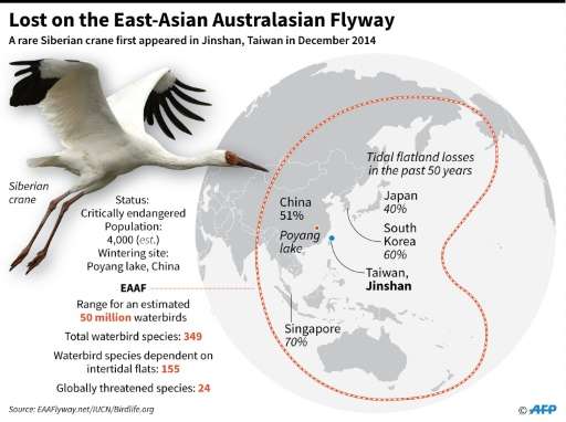 The bird migration zone that links Siberia with tropical Asia and southern New Zealand for some 50 million waterbirds