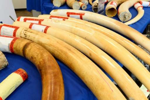 The Convention on International Trade in Endangered Species of Wild Fauna and Flora, or CITES, banned international ivory trade 