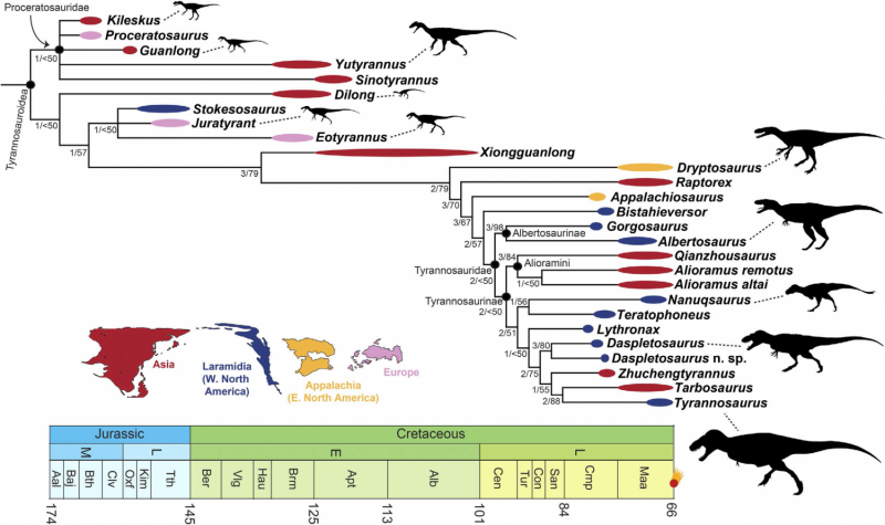 The evolution of tyrannosaurs