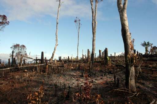 The impact of deforestation on south-eastern Madagascar has been devastating