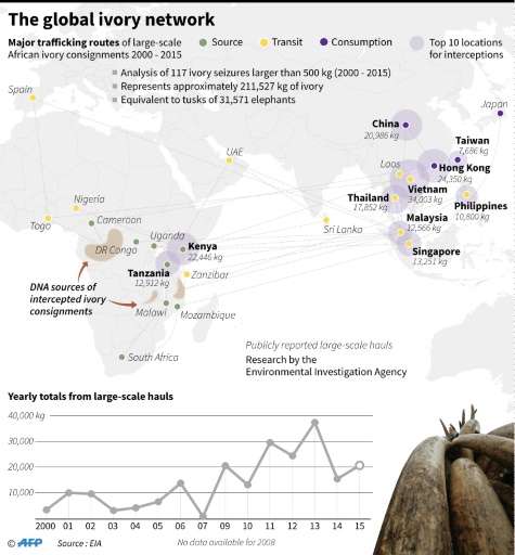 The ivory trade in France has been tightly controlled since it joined the Convention on International Trade in Endangered Specie