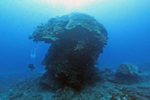 The &quot;Big Mushroom&quot; is located in the waters near Green Island off Taiwan's east coast, attracting divers from around t