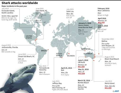 There were 98 shark attacks globally in 2015, the highest number ever recorded