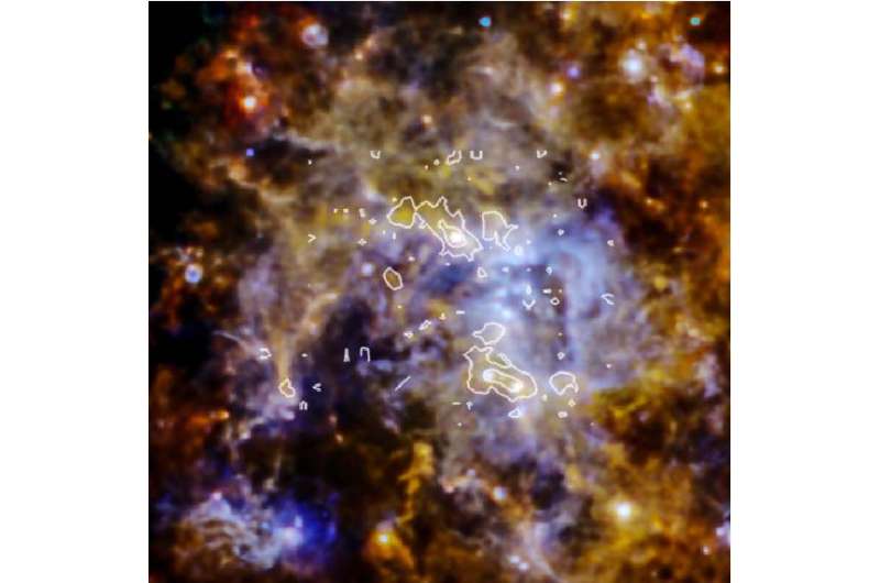 The role of magnetic fields in star formation