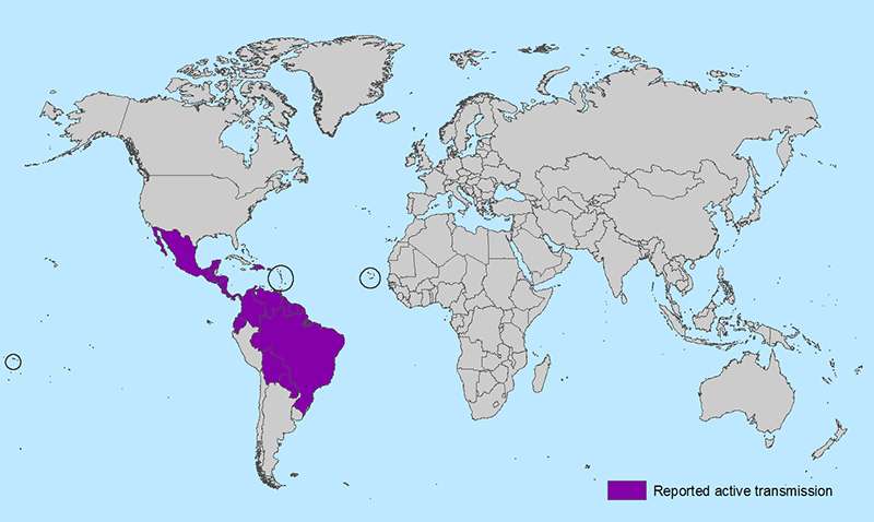 The Zika virus – what do you need to know?