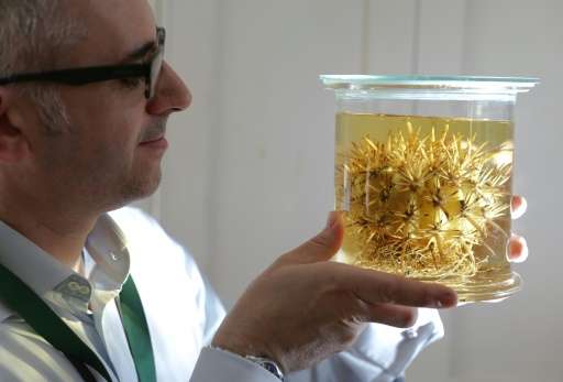 Tim Utteridge poses with a preserved Ferocactus Fordii at the Herbarium at Kew Gardens on May 9, 2016