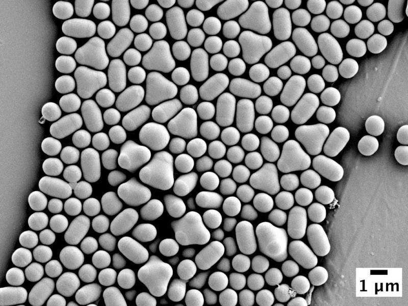 Tiny clumps recycle themselves into complex structures