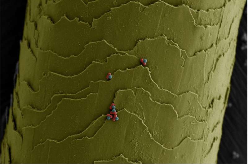 Tiny transformers: Chemists create microscopic and malleable building blocks