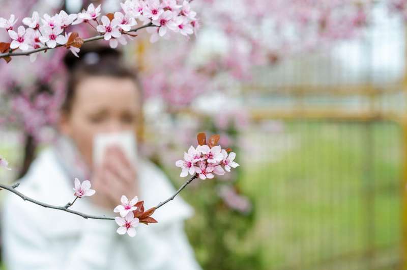 Tips for surviving this spring's allergy season